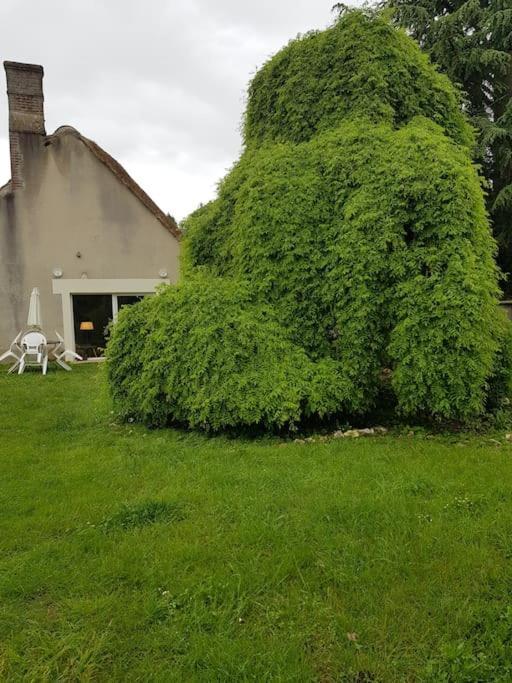 Chaumiere Avec Sa Toiture Recouverte De Chaume !!! Donnemain-Saint-Mames Buitenkant foto